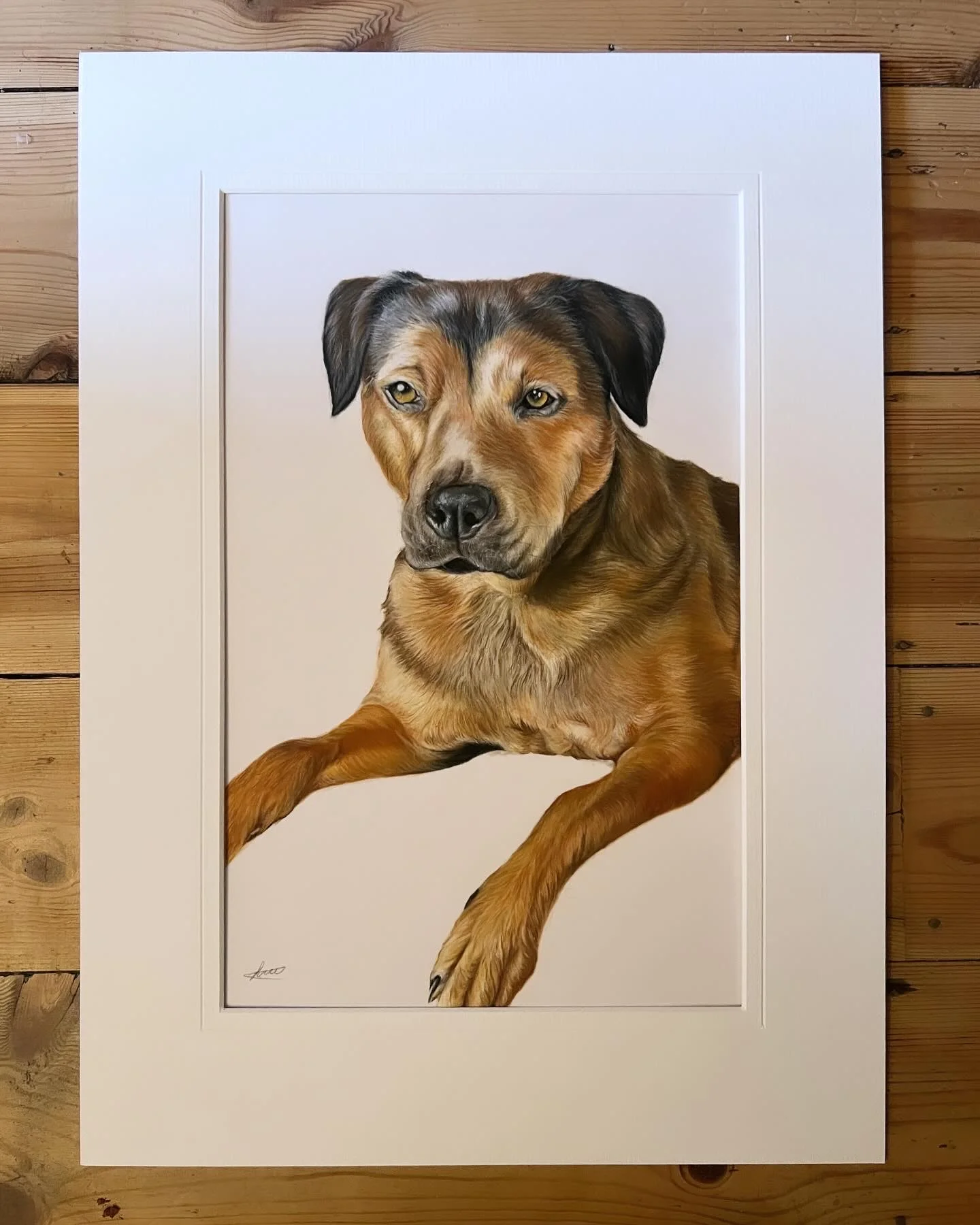 Custom pet portrait in pastel pencils