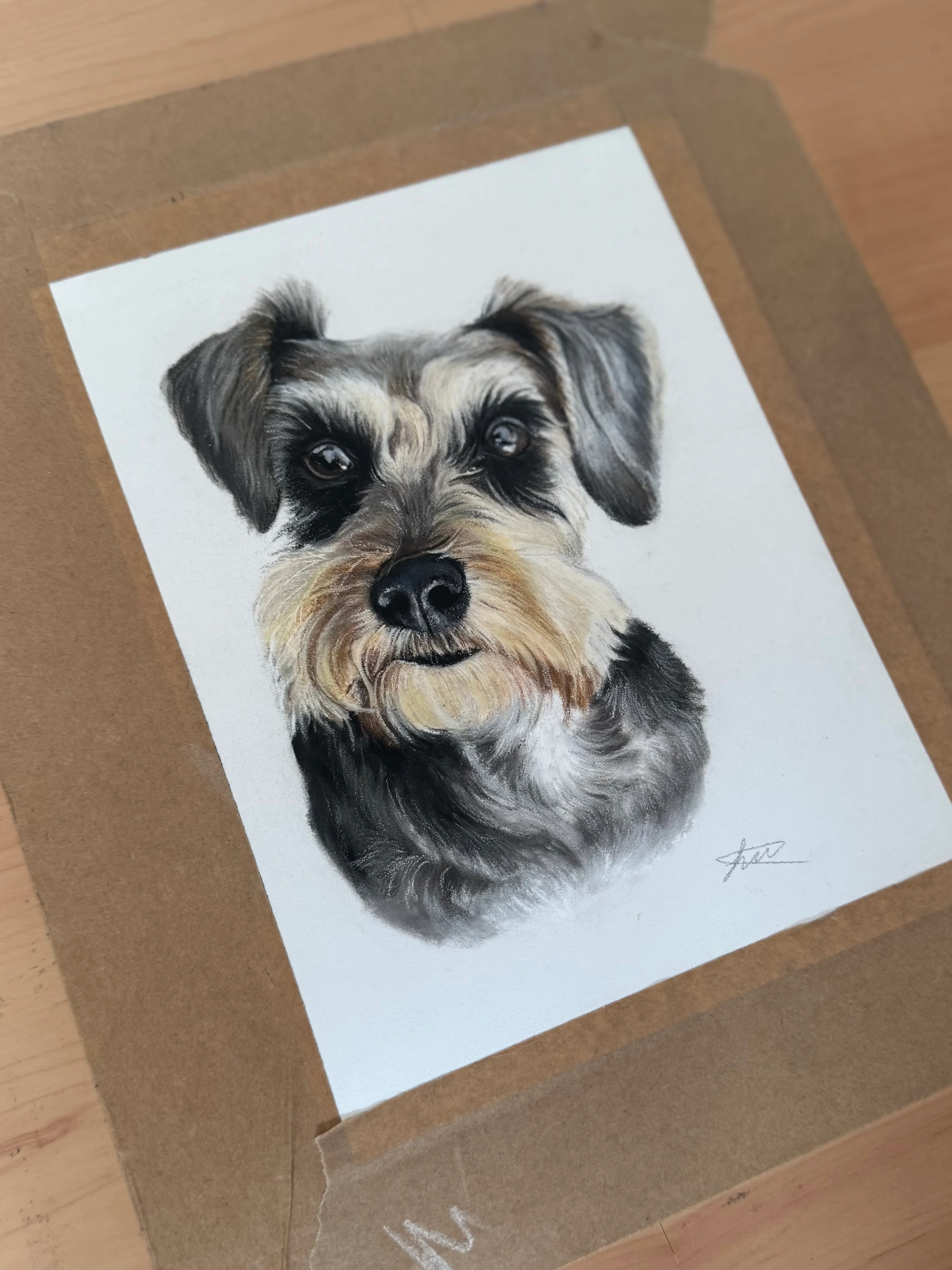 Custom pet portrait in pastel pencils