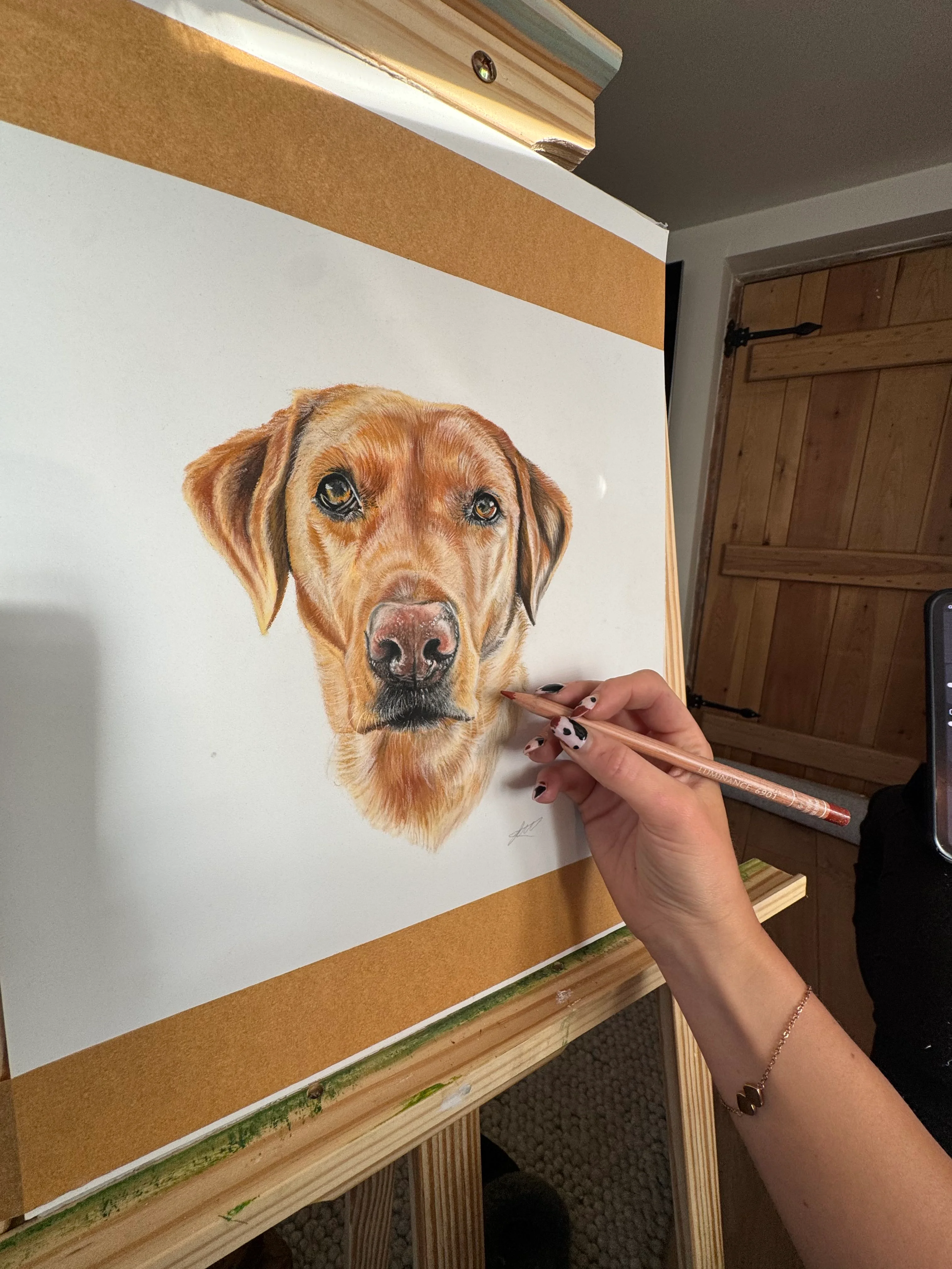 Pet portrait artwork in pastel pencils