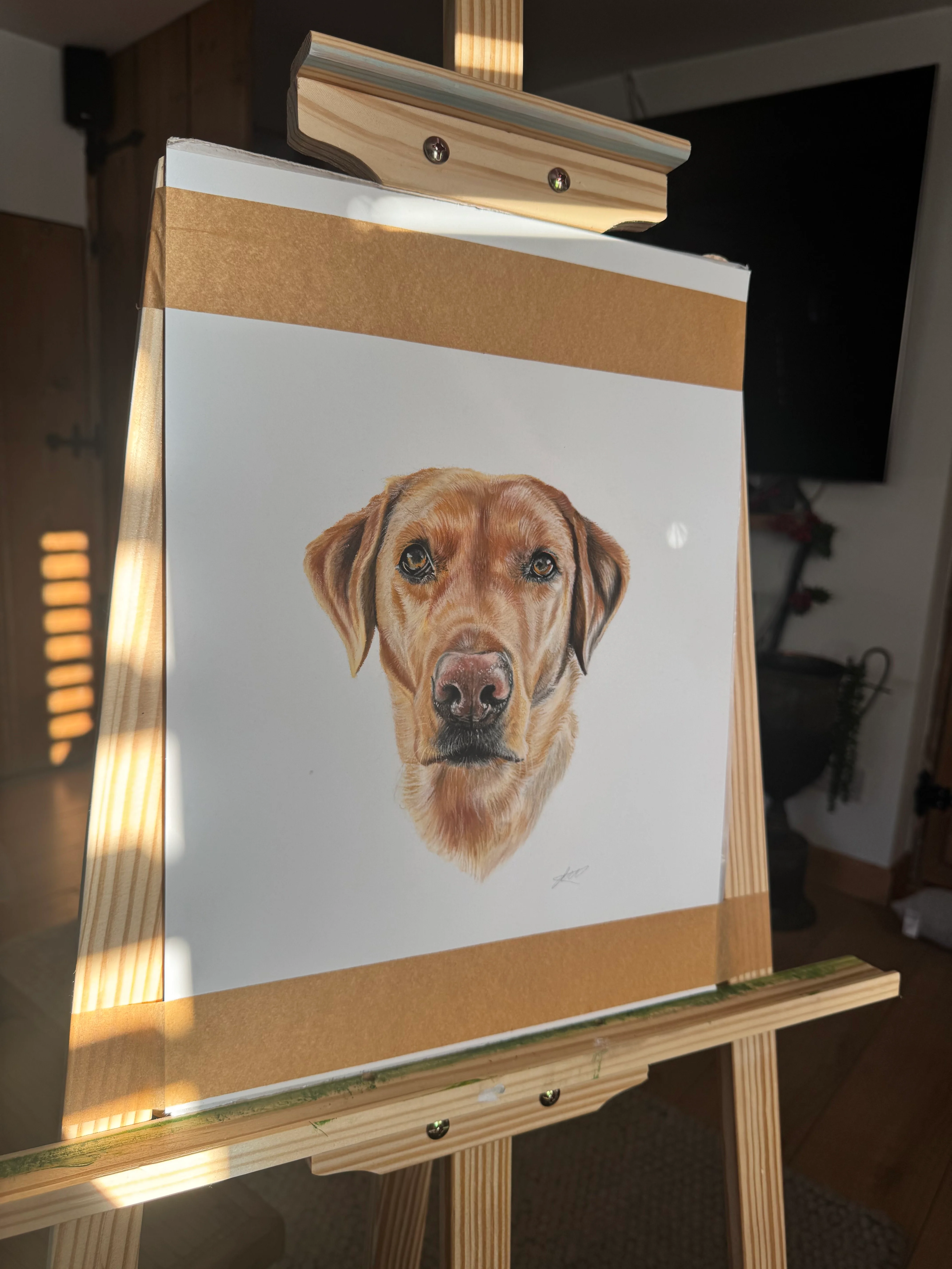Custom pet portrait in pastel pencils