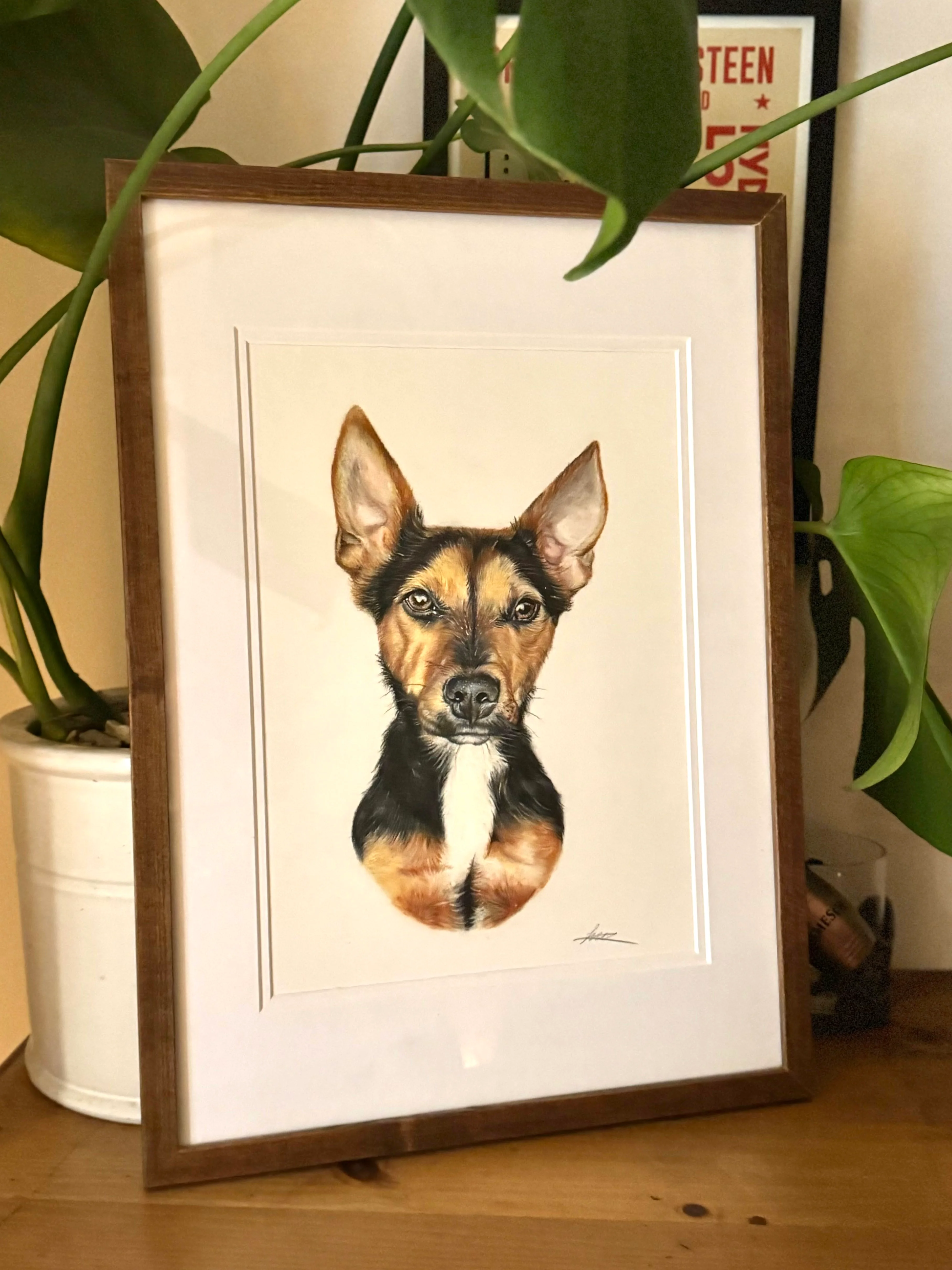 Custom pet portrait in pastel pencils