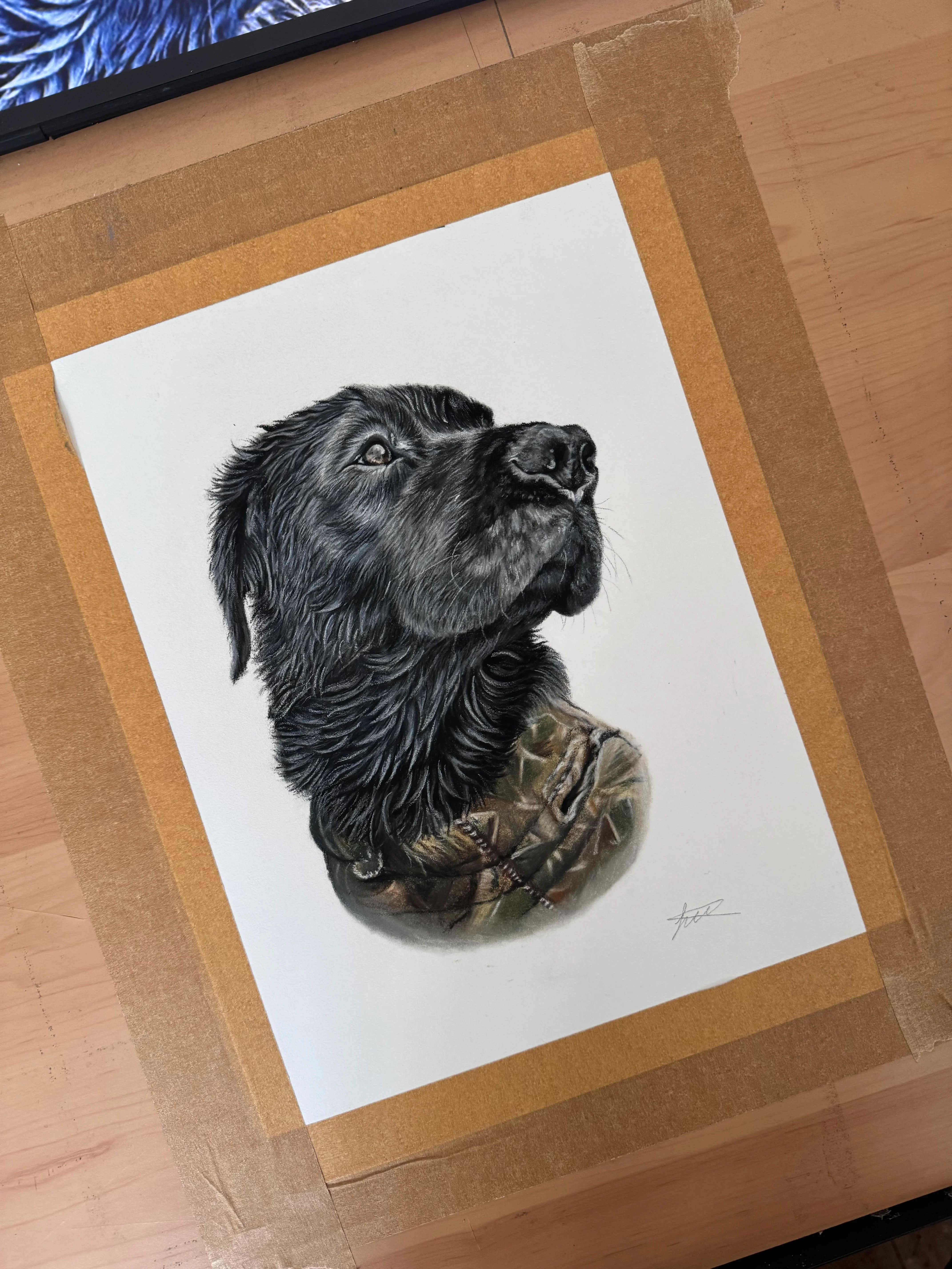Custom pet portrait in pastel pencils
