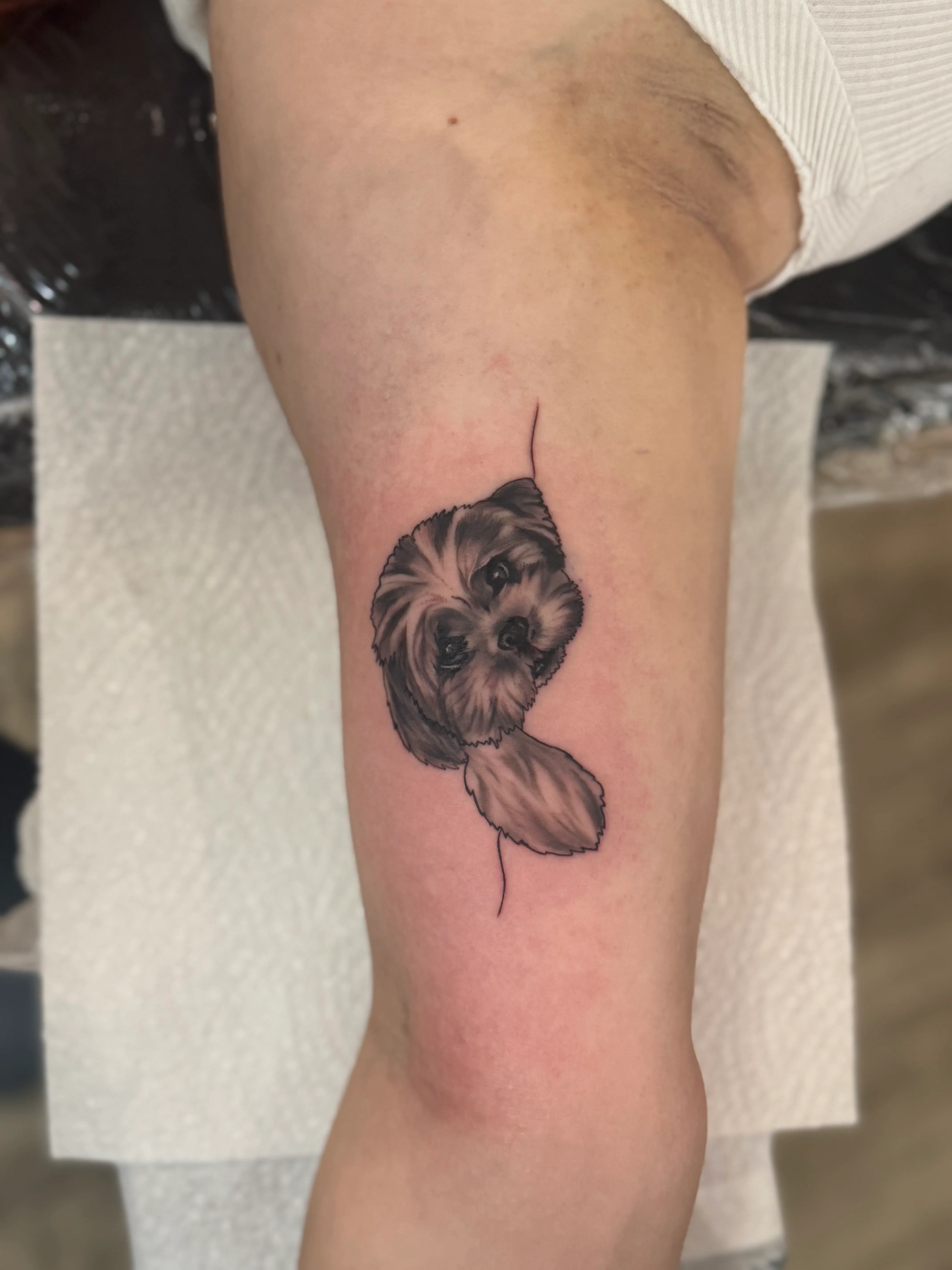Custom tattoo by Siobhan, Norwich, Norfolk