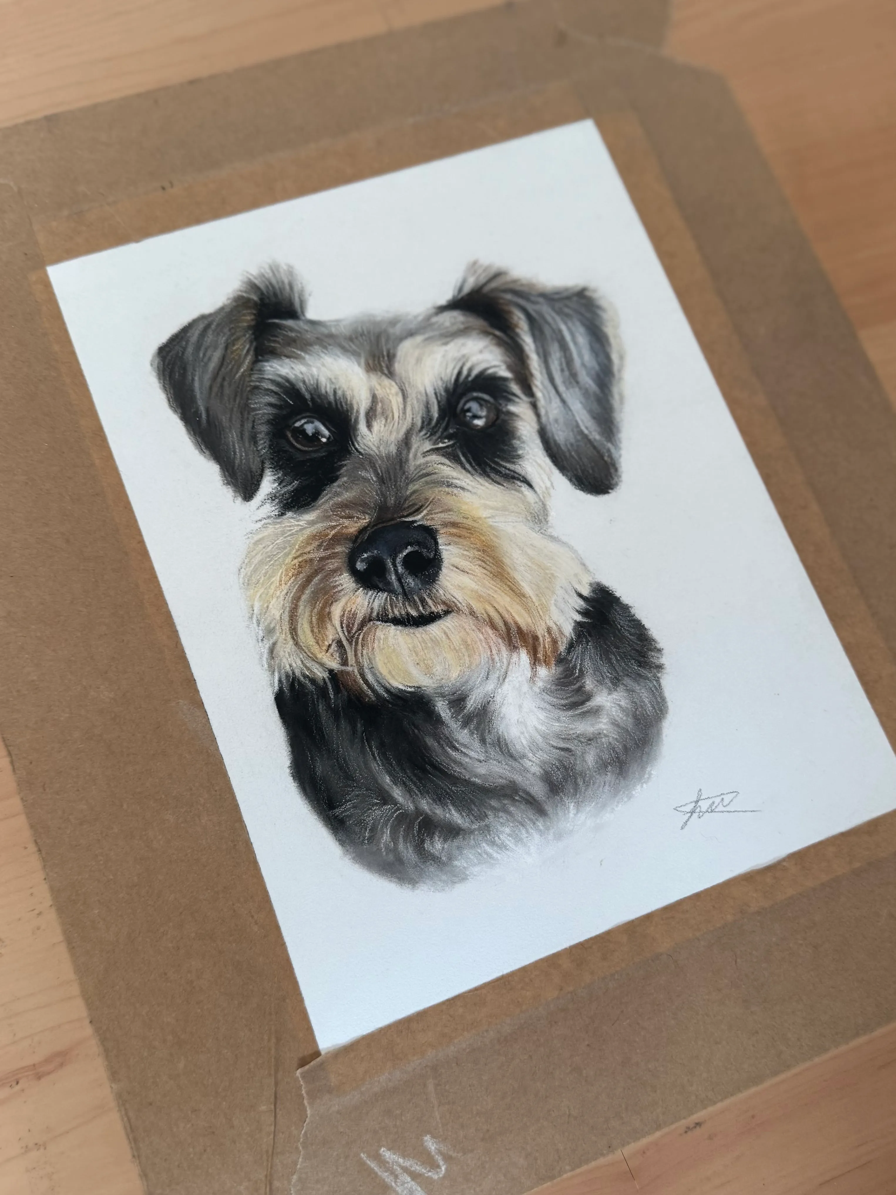 Pastel pet portrait by Siobhan, Norwich, Norfolk