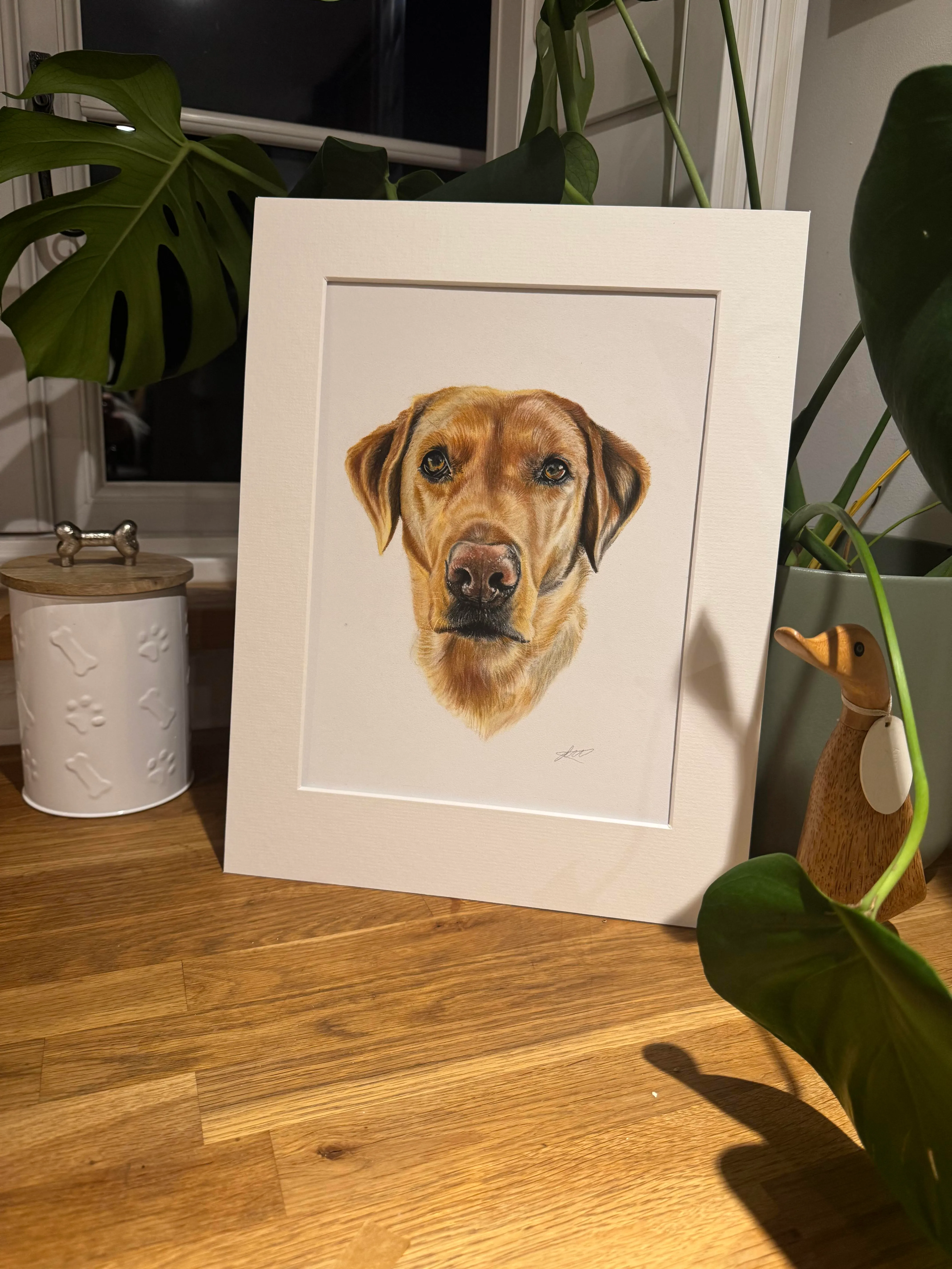 Pastel pet portrait by Siobhan, Norwich, Norfolk
