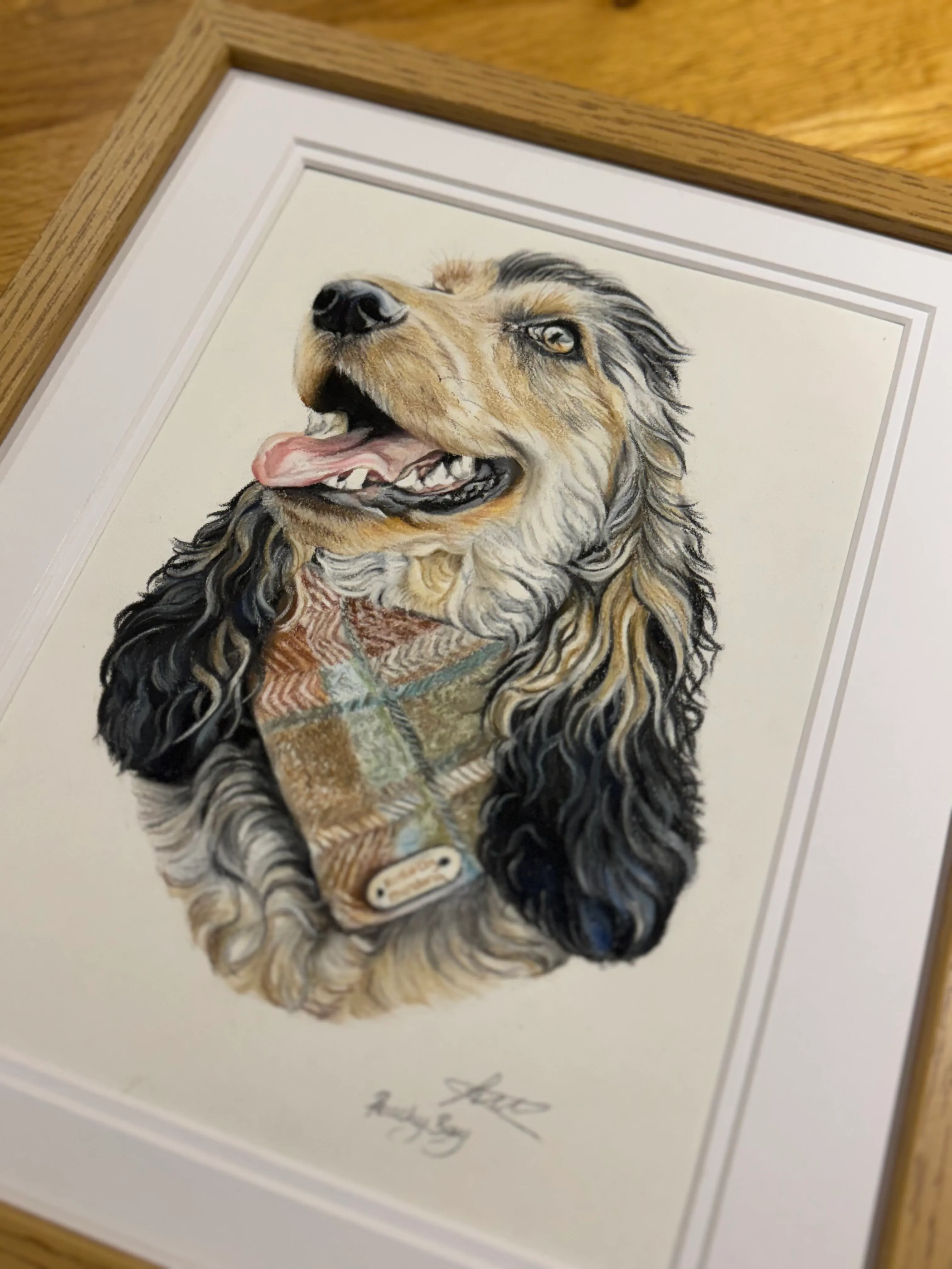 Pastel pet portrait by Siobhan, Norwich, Norfolk