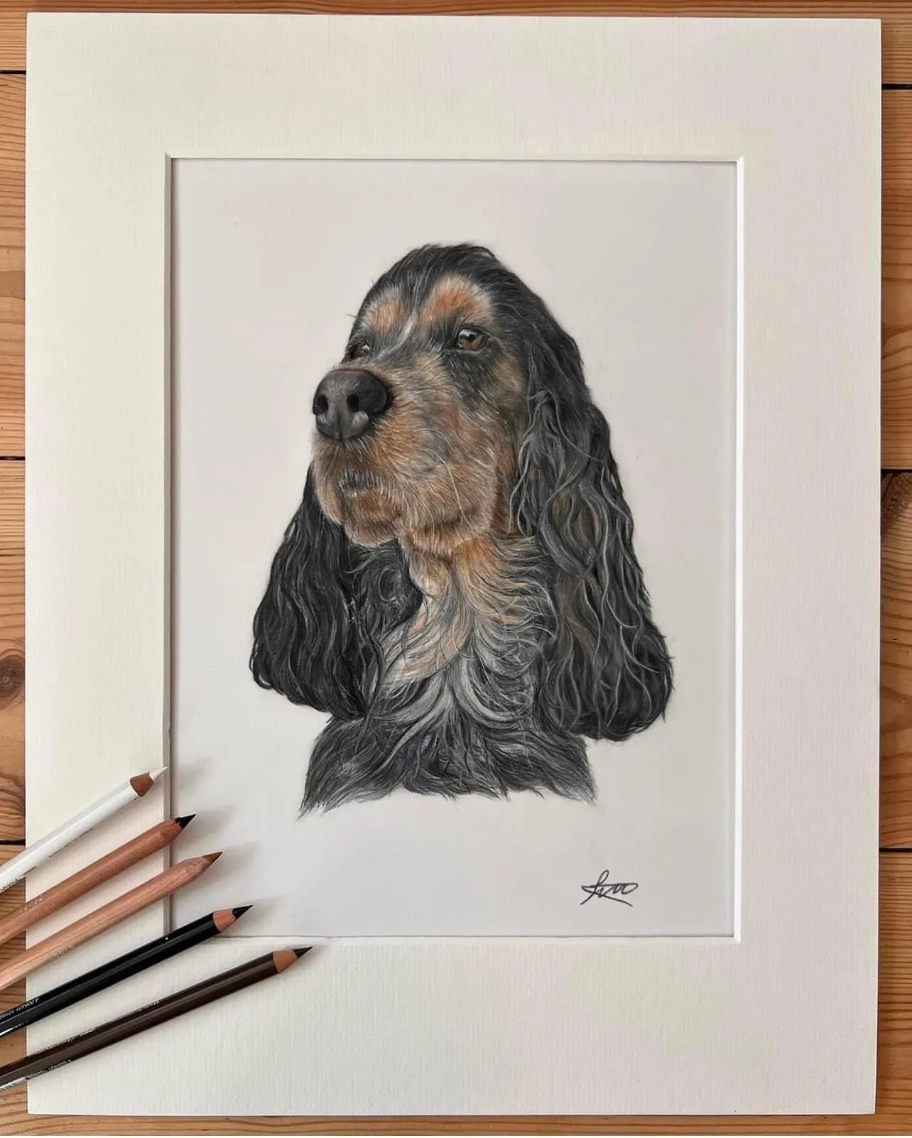 Pastel pet portrait by Siobhan, Norwich, Norfolk